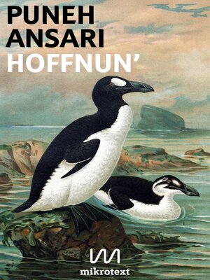 cover image of Hoffnun'